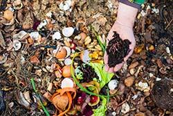 Adobestock 338740268 compost maison petite taille