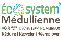 Logo ecosystem ok 1